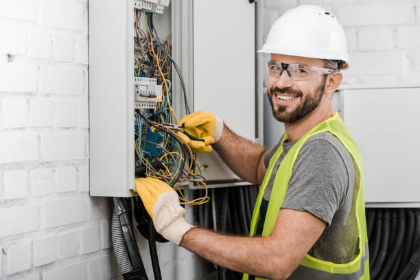 Best Electric Panel Repair  in Ames, IA